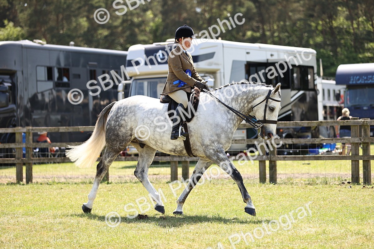 SBM_17800 - Class 81-83 - TSR Ridden Amateur of the Year - Horses