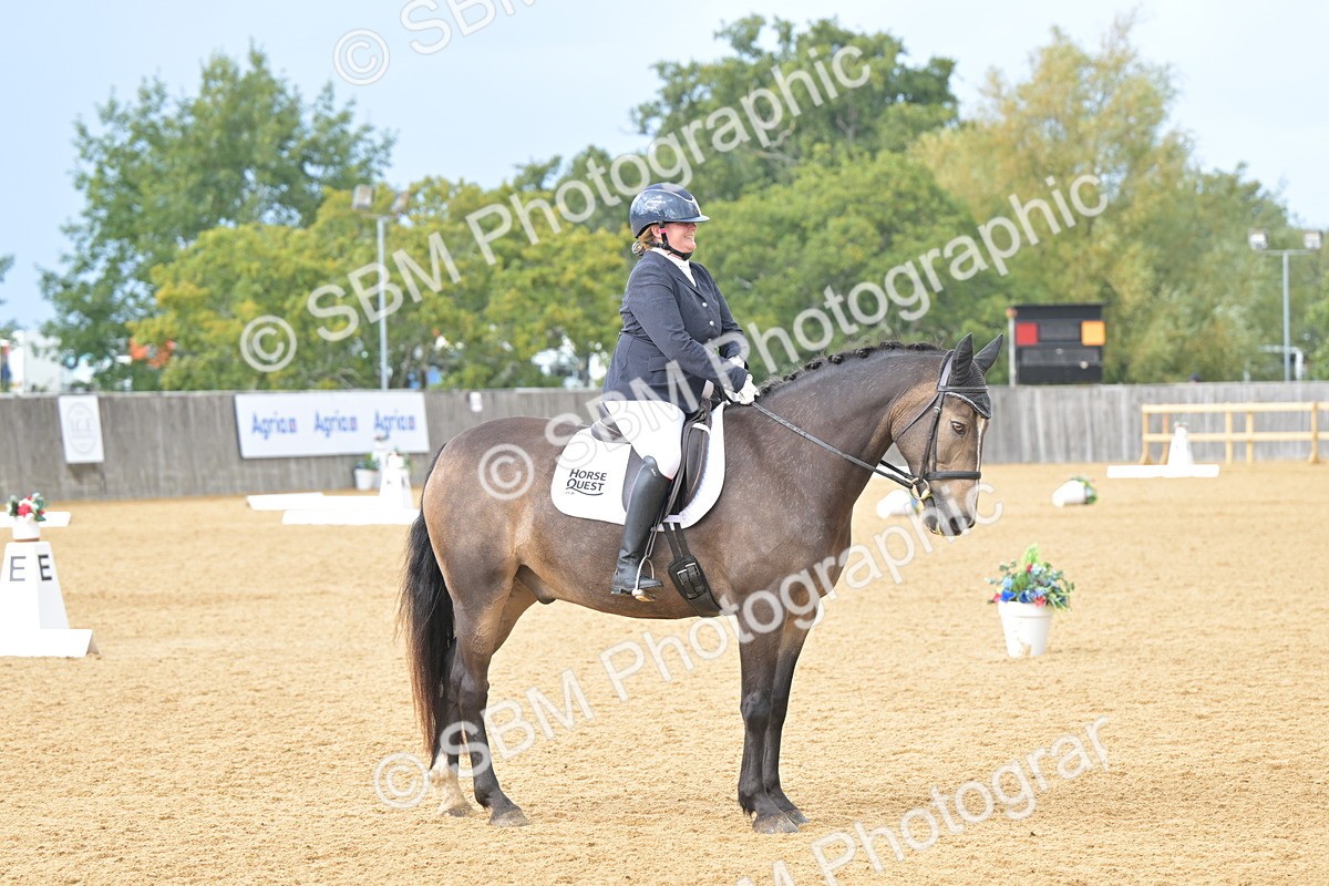 SBM_11108 - D3 - Small Tour Championship Intro 3