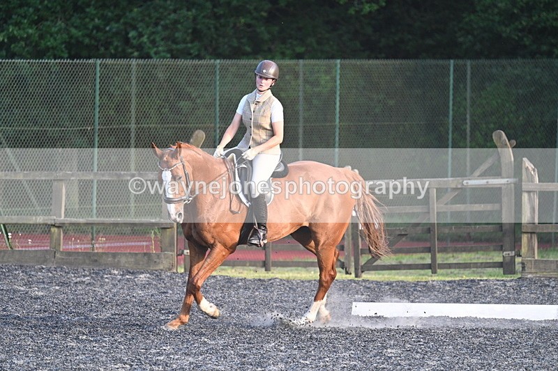 WJ7_0336 - Time 19:38 to 20:00