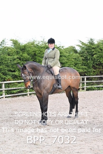 BPP_7032 - RING 1  (RIDDEN HORSES / IN HAND / VETERAN ETC)