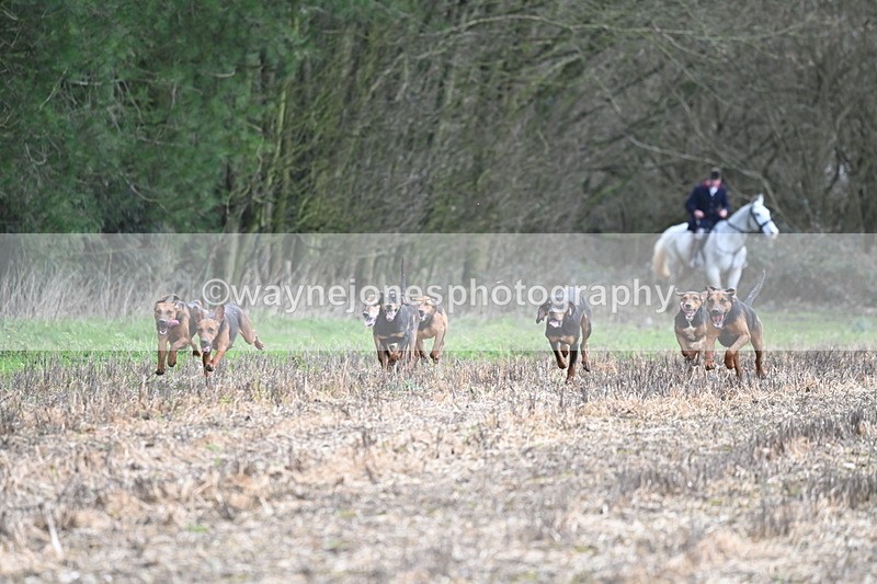 WJ6_9415 - Line Four