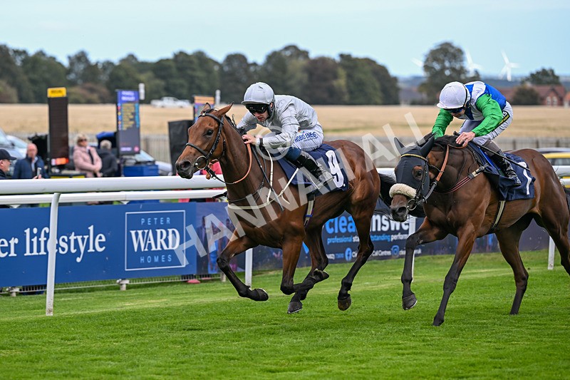 230925-Race 1-Mariotto-9691 - Race 1