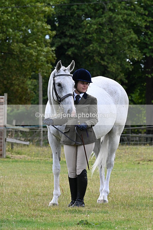 WJ7_7213 - Class 5a Most Handsome Gelding in Hand