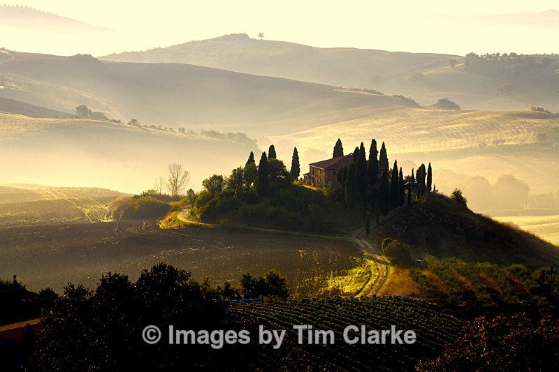 Tuscany Early Morning 0632522 - Landscapes