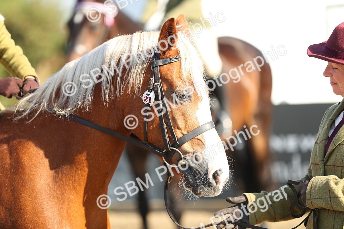 SBM_00395 - Class 41 Best Turned Out Ridden