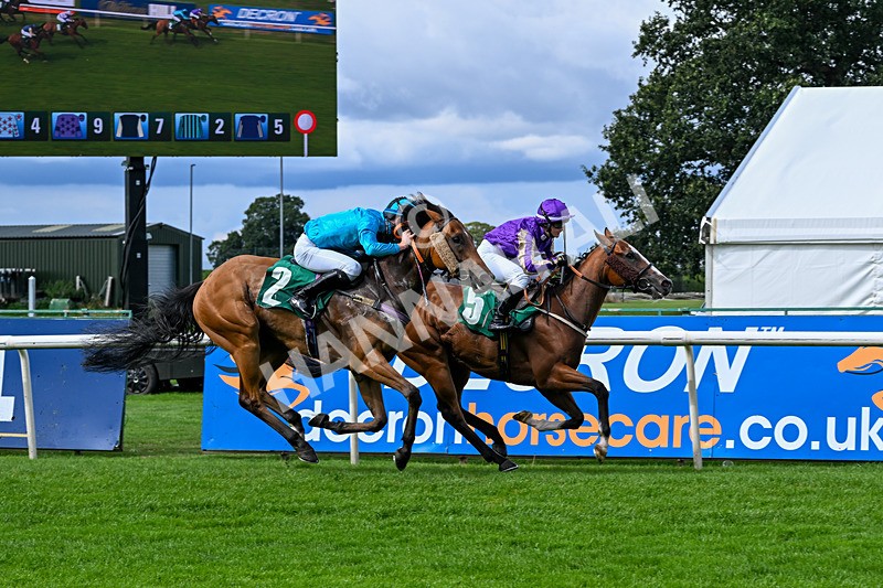 280826-Race 1-Hatamoto-4213 - Race 1 2.13pm AJA Novice Flat Amateur Jockeys' Handicap