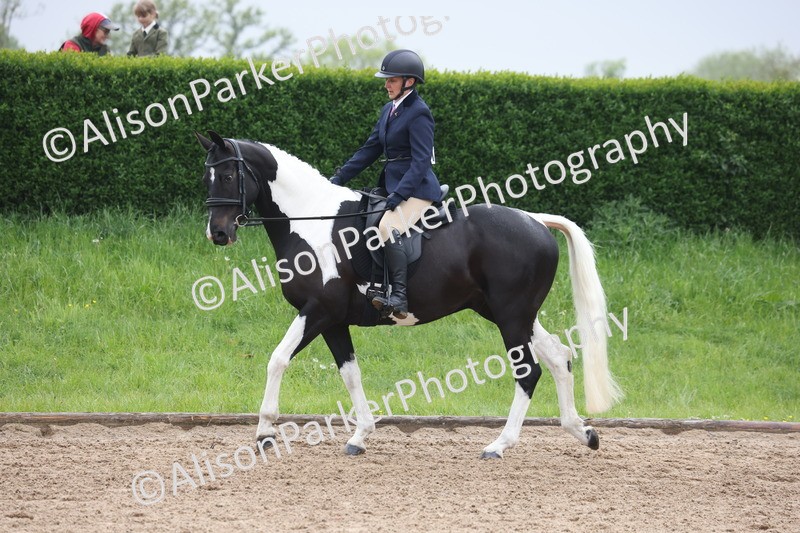 20260504-1030 - Class 14 - Cob and Hunter