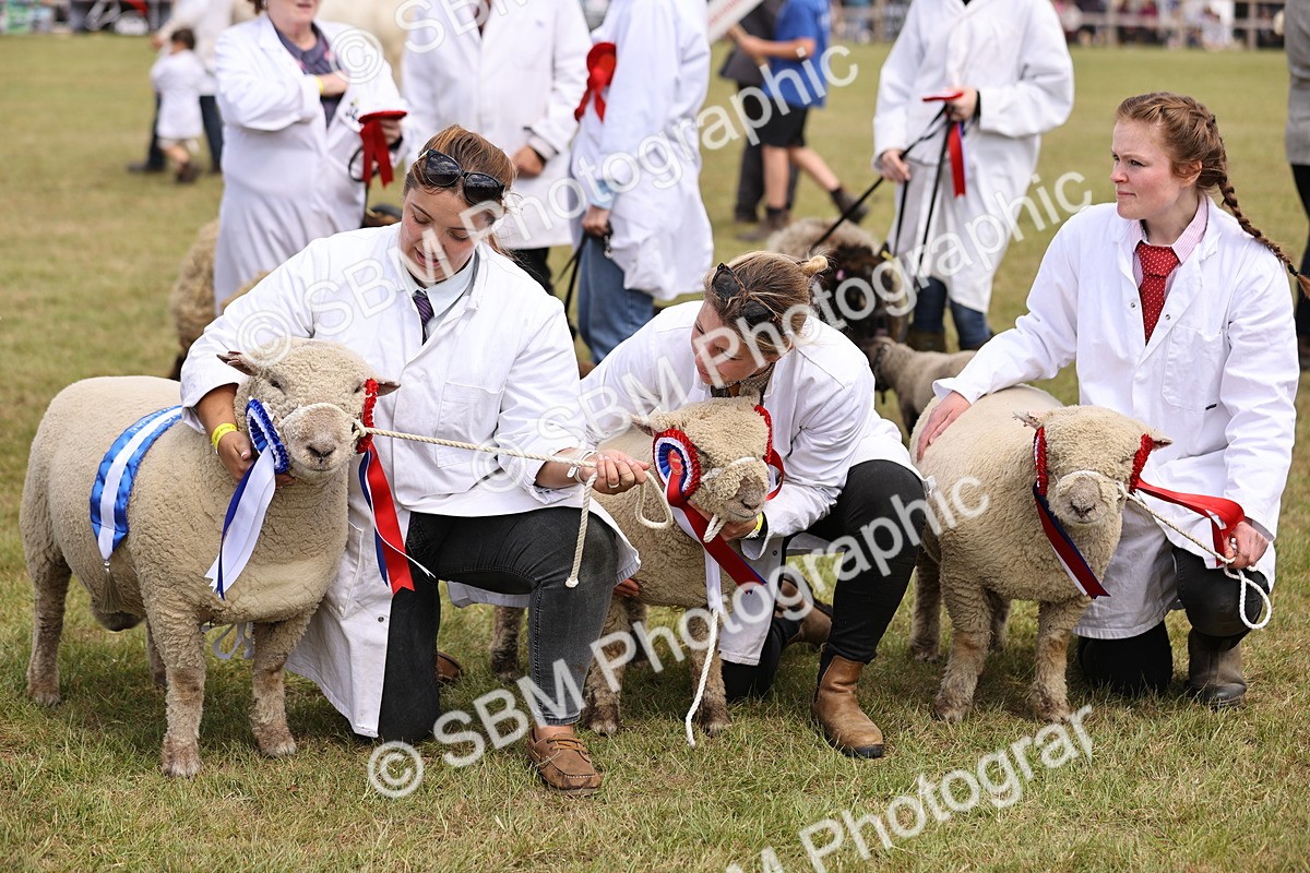 SBM_16920 - Grand Parade