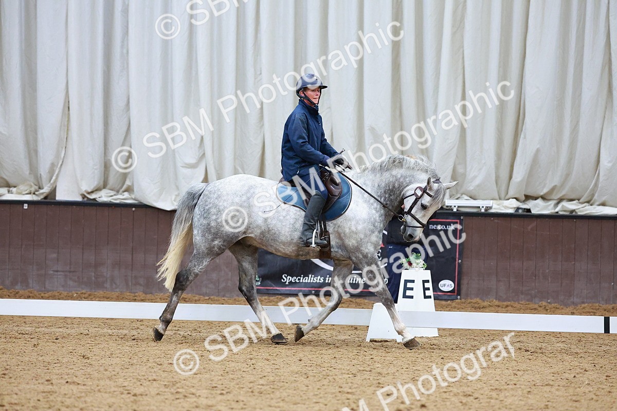 1I0A0979 - Class 3-6 - Prelim 1-Novice 2