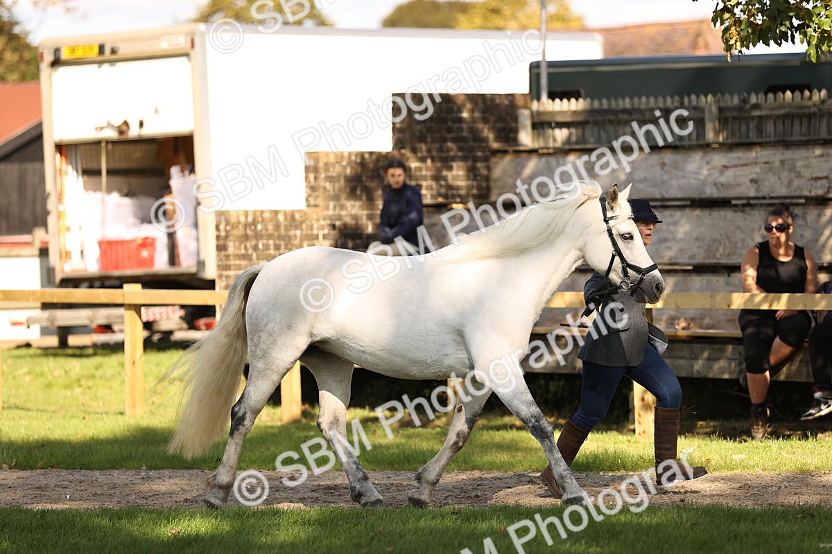 SBM_26132 - S5 - Novice & Newcomers In Hand