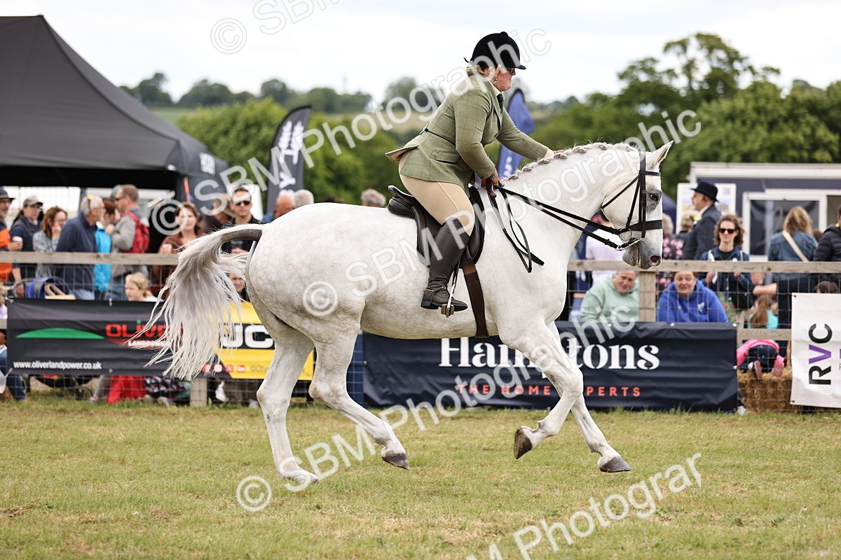 SBM_14834 - Class 88-89 - LIHS BSHA Rising Star of Ridden Hunter Type