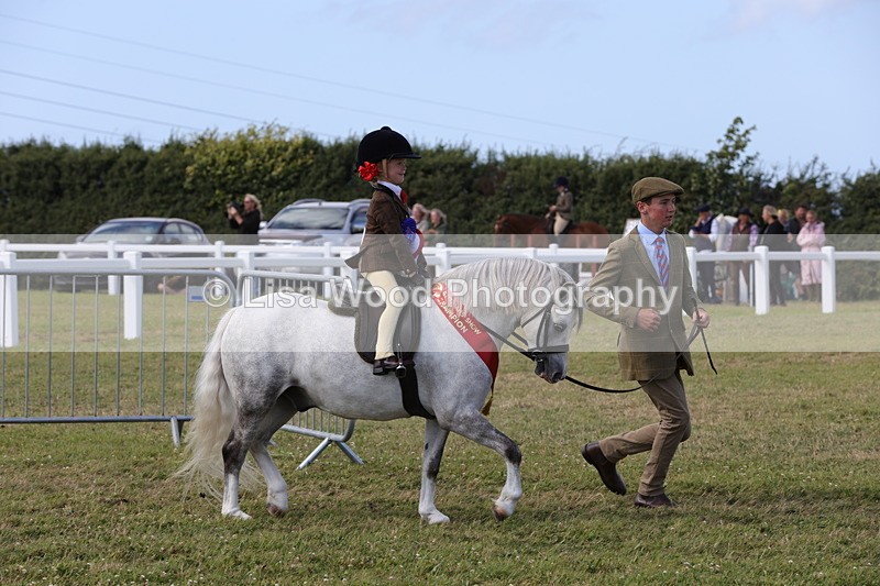 1X9A5505 - M&M Mini Ridden Championship