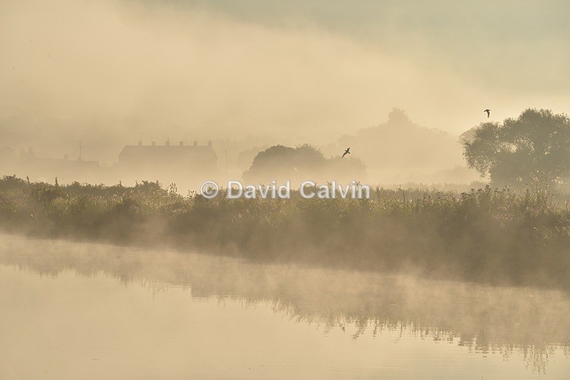 River at Saltford - On the River