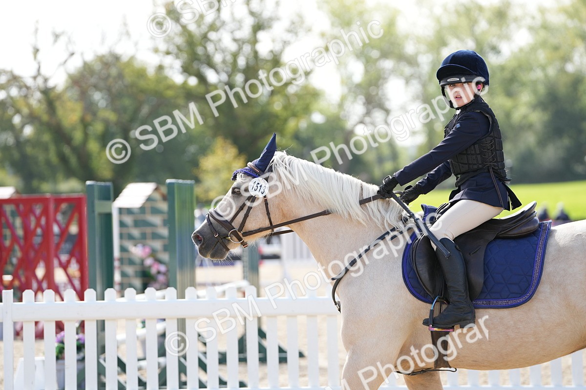 SBM_18153 - J58 - Clear Round 50cm