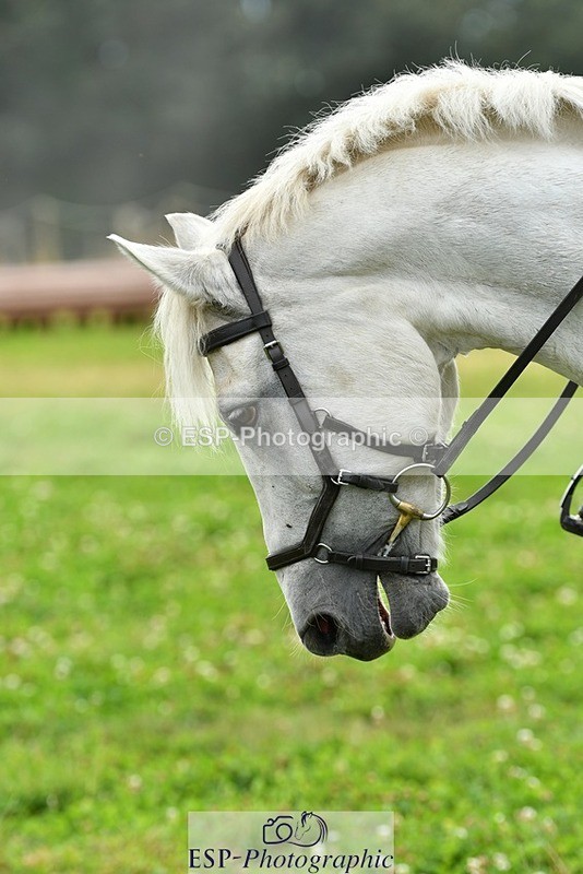 230817-154010-01570 - Theo's 2nd Group - XC