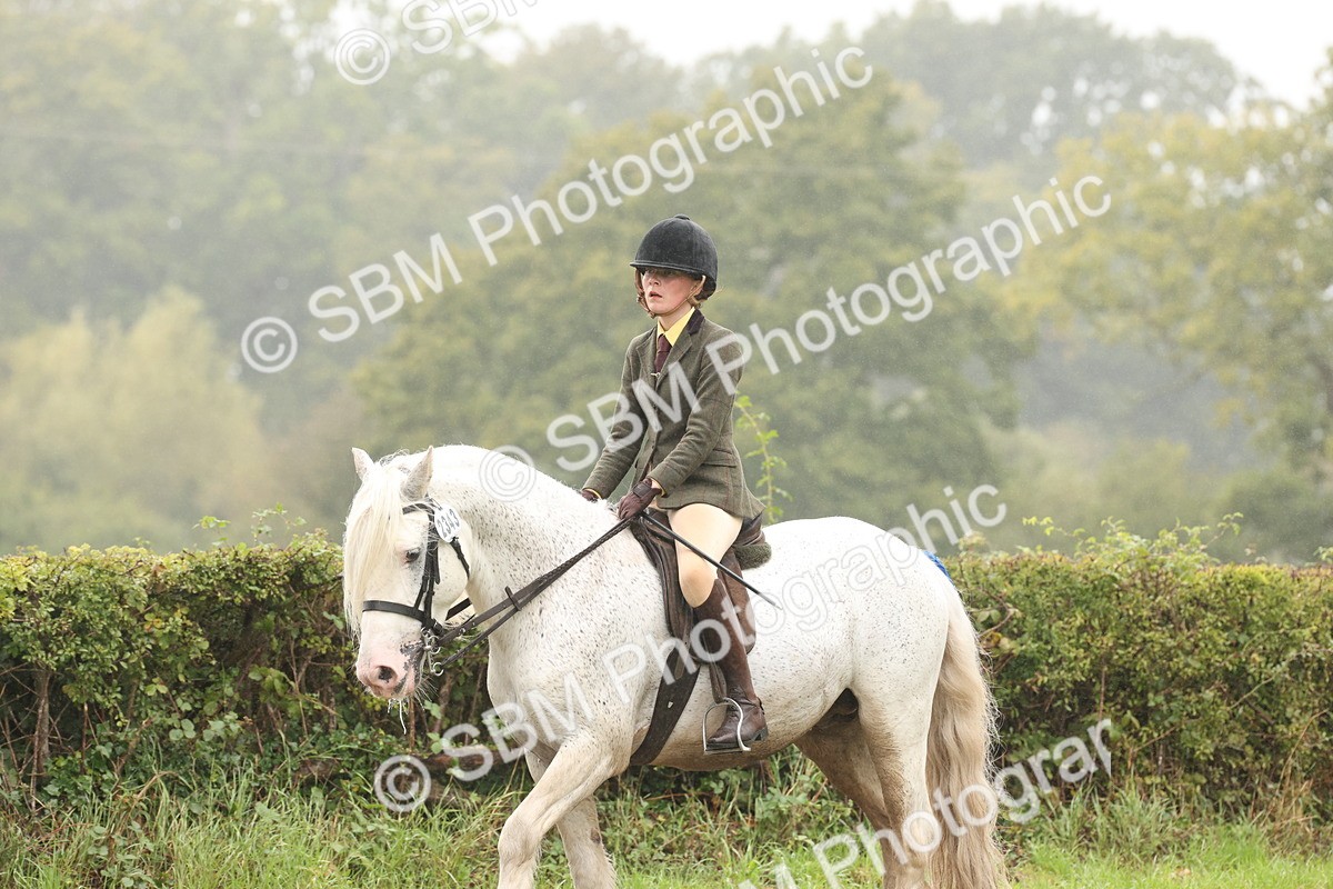 SBM_72749 - S70 - Traditional Cob Ridden