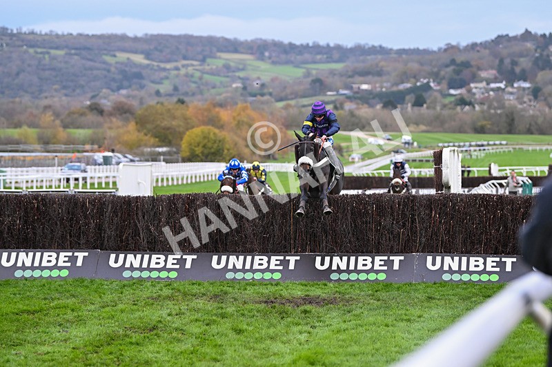 171124-Race 4-Abuffalosoldier-3600 - Race 4