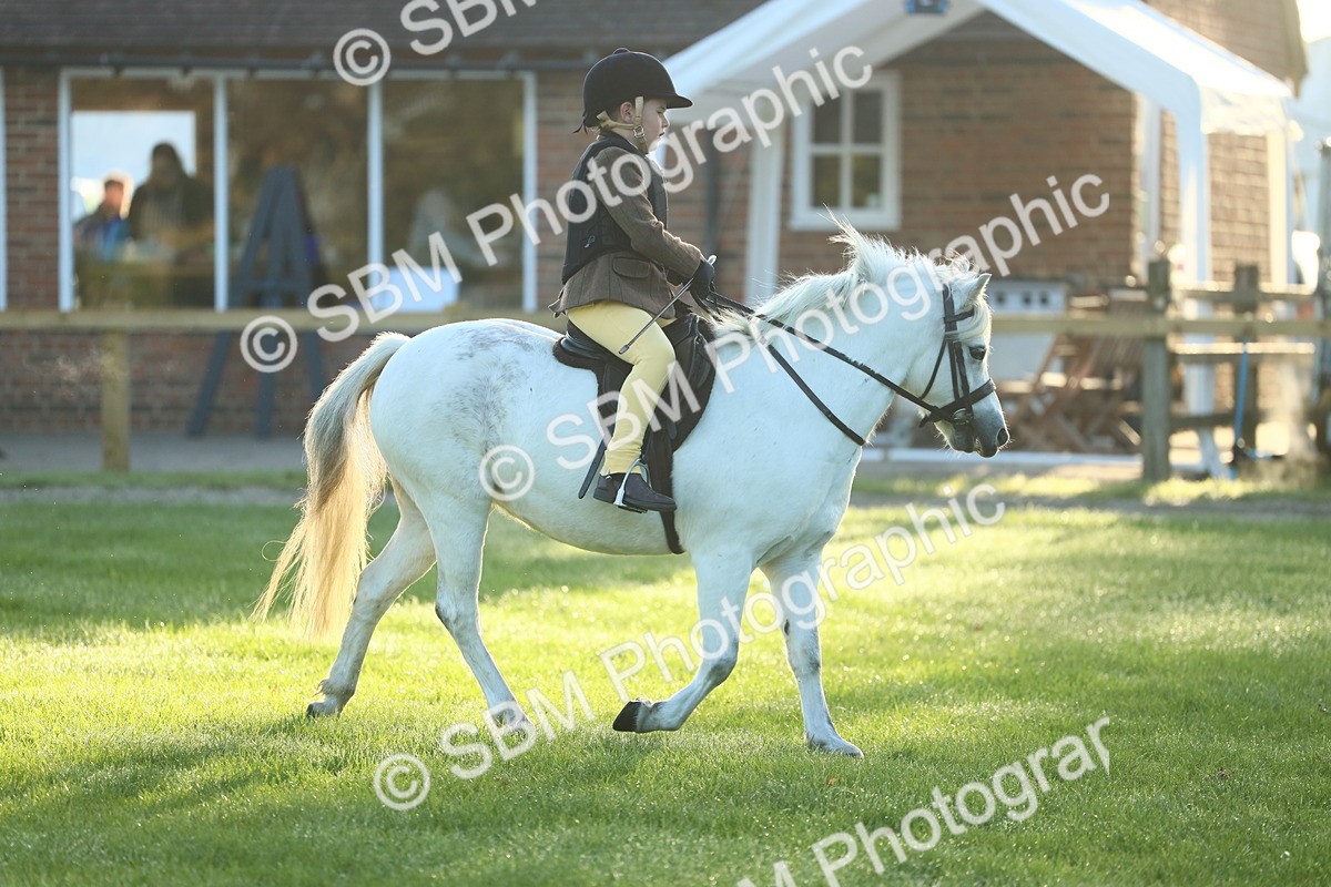 SBM_31791 - S28 - Nursery Stakes Working Hunter Pony
