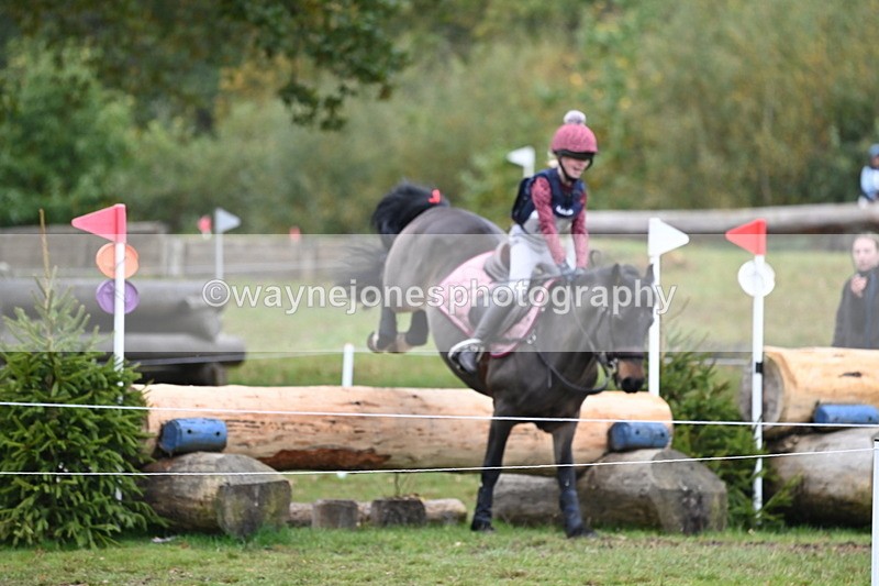 WJ6_2881 - 80cm Cam 1 Pairs Time 12:19 to 12:49