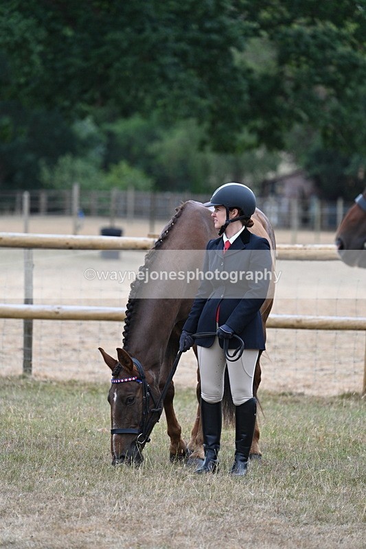 WJ7_9765 - Class 5a Most Handsome Gelding (above 14.2hh)