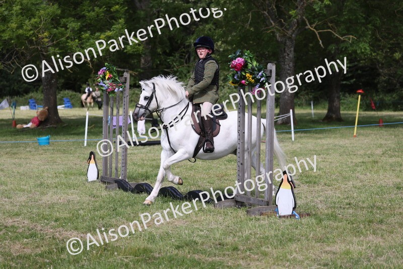 20260614-0720 - Class 20 - Beginners Working Hunter Pony