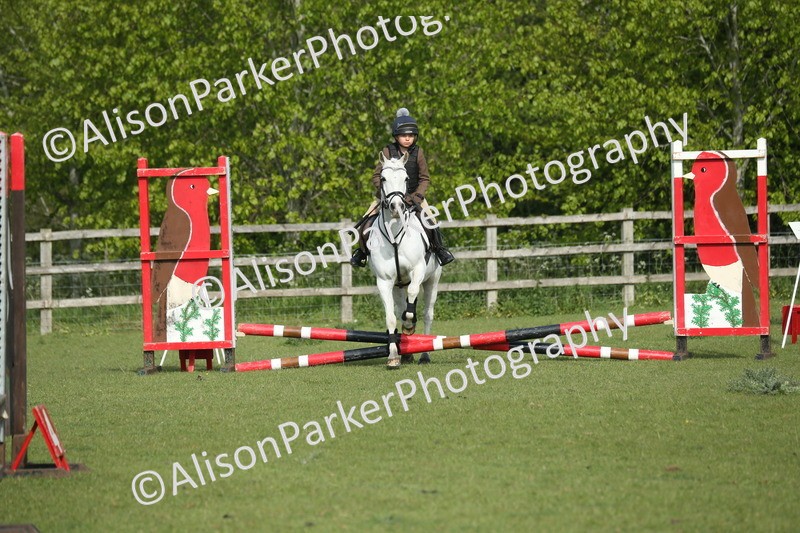 20260426-0114 - Class 13 - Rookie Jumping 50cm