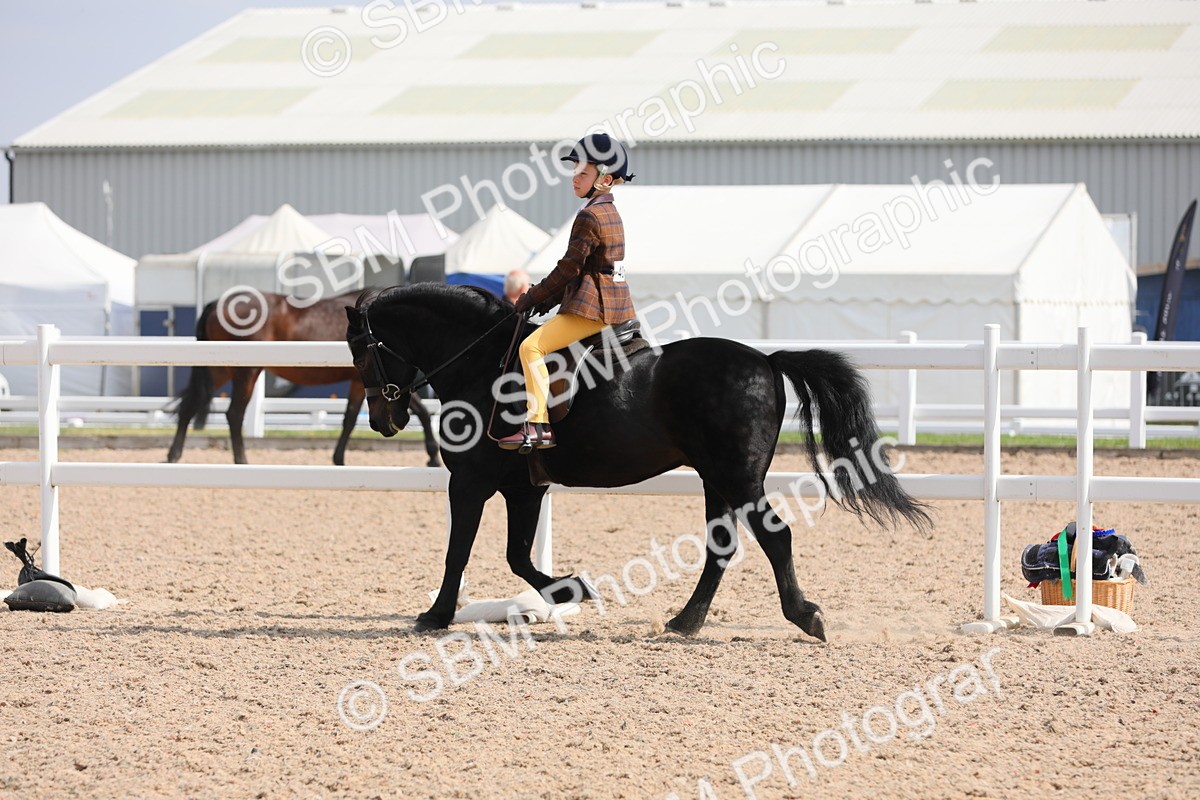 SBM_14720 - Class 310 First Ridden Pony