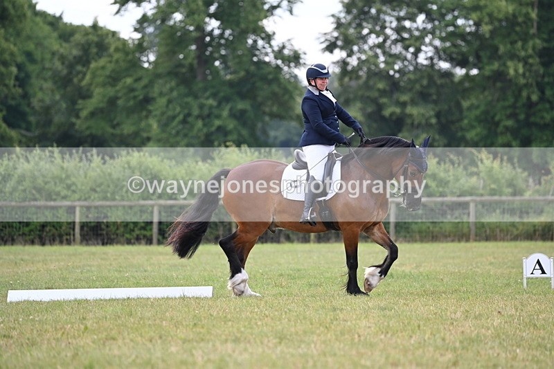 WJ6_6691 - Time 11:48 to 12:22