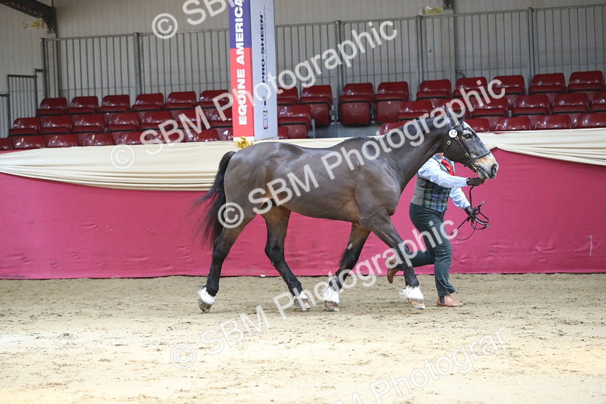 SBM_04319 - Class 7R Regional - IH Diamond