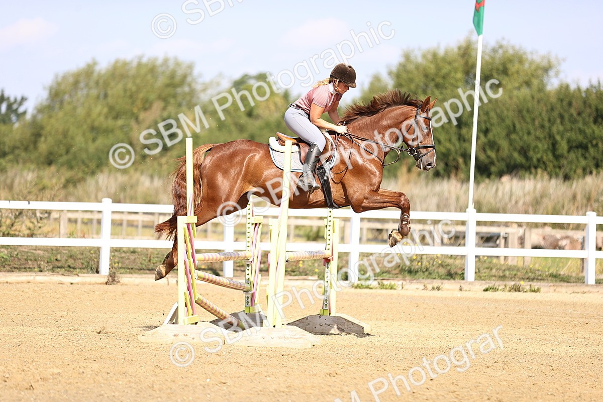 SBM_005607 - Class 9 - Senior British Novice - 90cm
