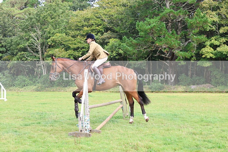 3E7A5828 - Class 26 and 27: 70cm Working Hunter