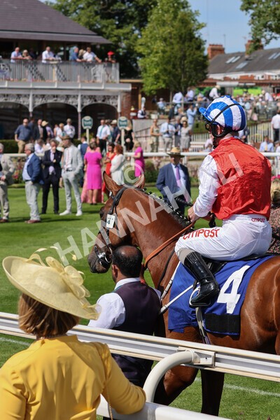 yr09072022r4-9 - Race 4 3.30pm John Smith's Nursery Stakes