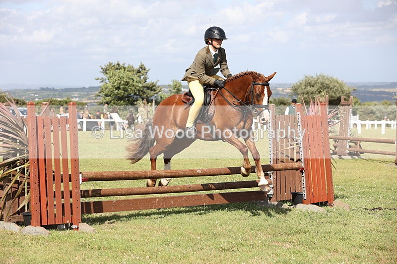 JPP_2747 - Class 20: Working Hunter 70cm