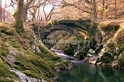Pandy bridge spring - Sceniks.com - Snowdonia landscape photographs by Dave O'Shea