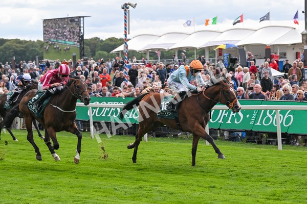 210825-Race 2-Song Of The Clyde-3983 - Race 2 2.25pm Harry's Half Million By Goffs