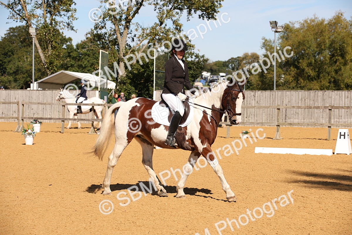 SBM_21627 - D5 - Small Tour Championship - Intro C