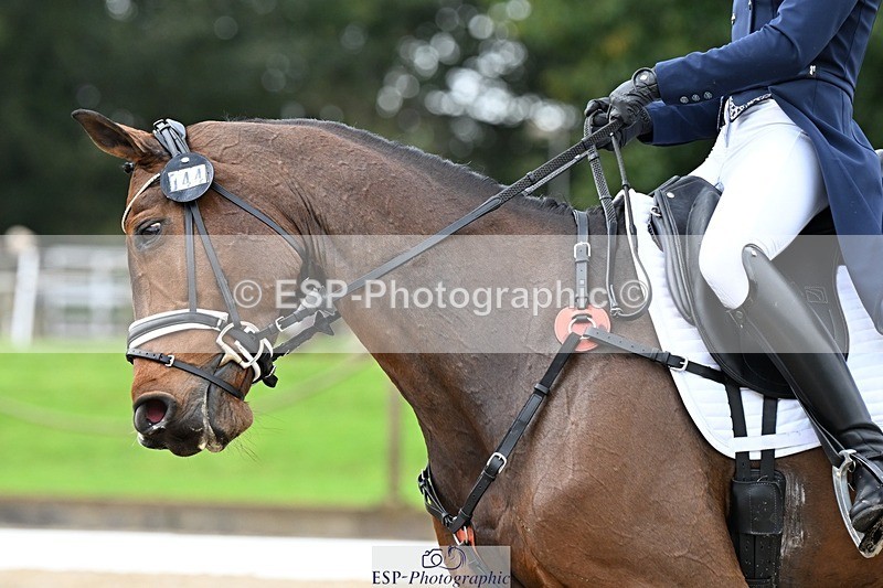 231019-122225-02745 - 044-COOLEY.ON.THE.CARDS-Charlotte.Cooke-DR