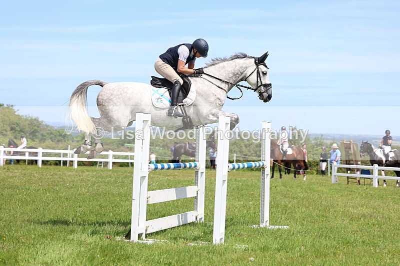 3E7A1319 - Class 12: Senior Foxhunter/1.20 open