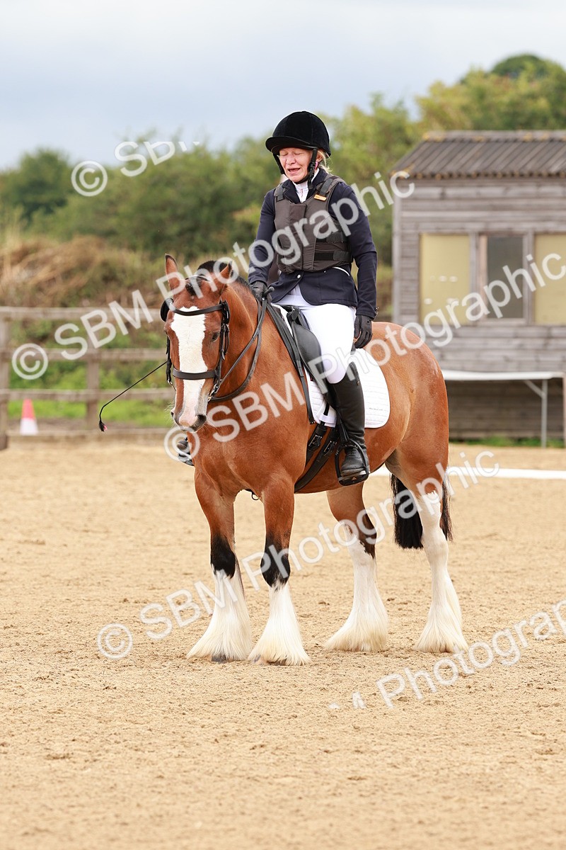 SBM_002241 - Prelim 1