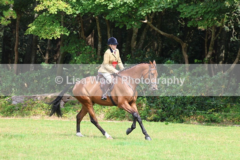 3E7A6059 - Working Hunter Championship