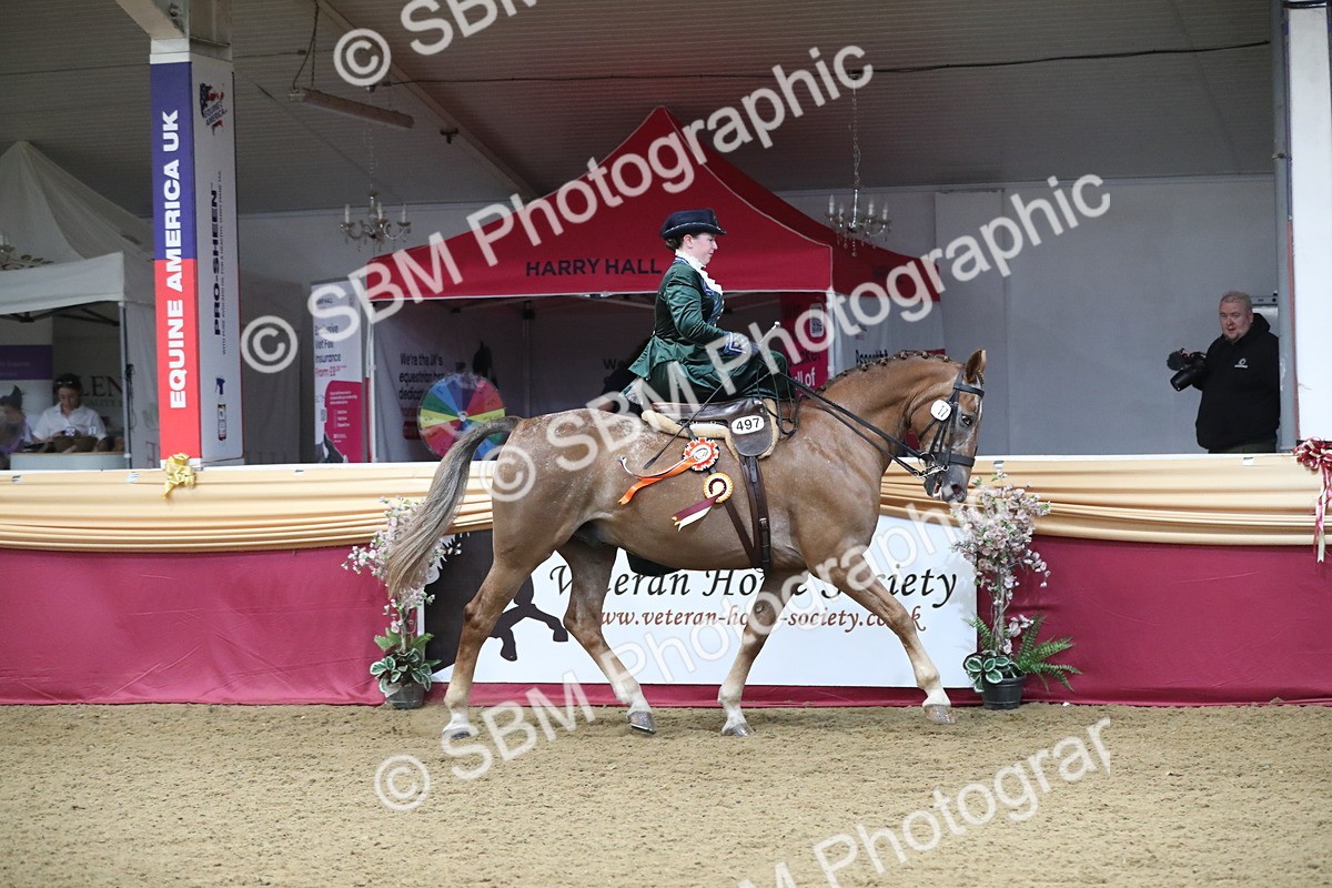 SBM_11644 - Class 105 Ridden Costume- Side Saddle
