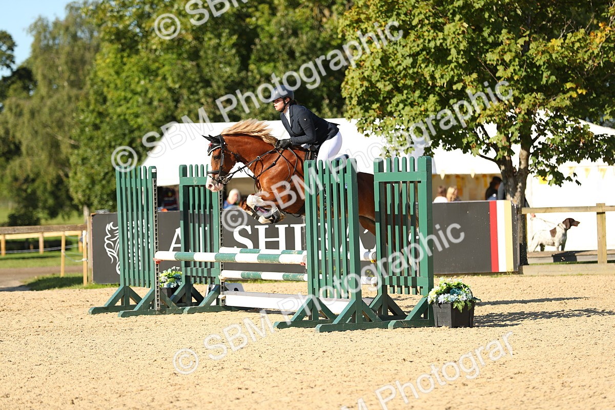 SBM_16709 - J33 - Senior 75cm Championship