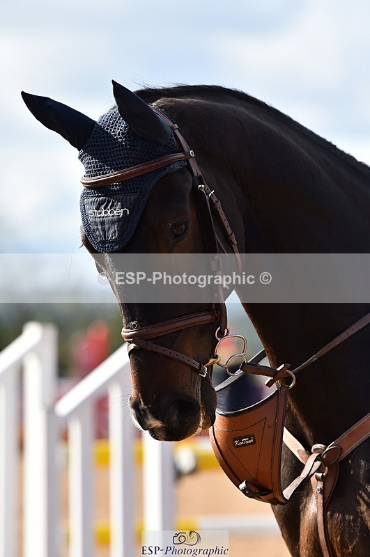 231014A-133410-05125 - Cls 14 95cm Grand Prix