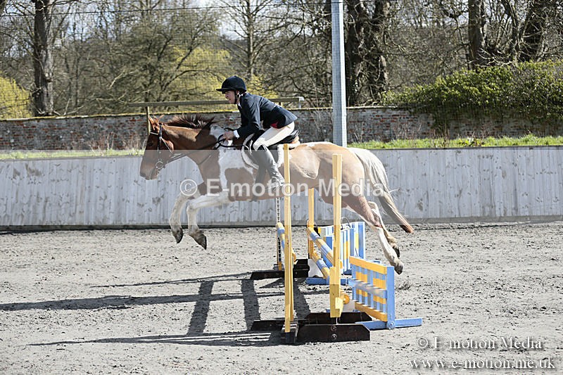 BVRC SJ 170319 309 - Bourne Valley Riding Club Showjumping 17/03/19
