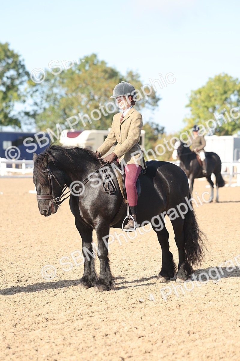 SBM_22159 - Class 802 - Ridden Groom Helpers Class