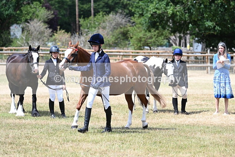 WJ7_1573 - Class 4 Prettiest Mare up to 14.2hh in hand