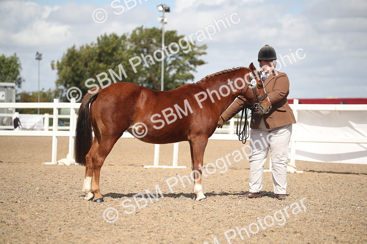 SBM_23114 - Class 606 - 2026 - Area - IH Pre Vet