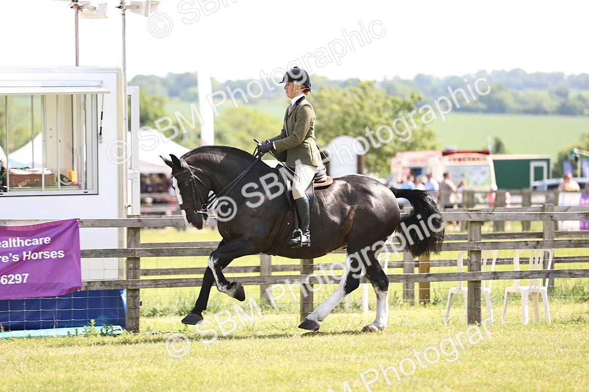 SBM_13732 - Class 77 - LIHS BSHA Rising Star Cobs