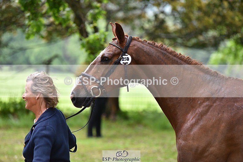 240522-162942-00957 - 258-KINGS_BELIEF-Mary_King