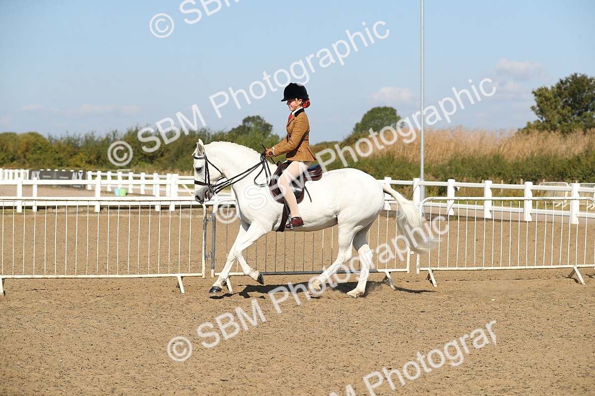 SBM_02248 - Class 43 Ridden Competition Horse/Pony